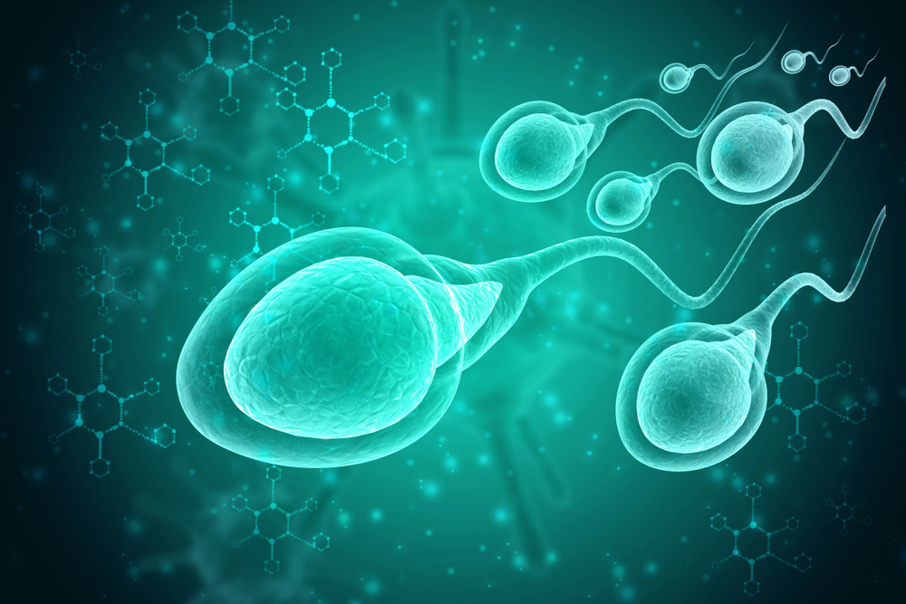The Impact of COVID-19 on Male Fertility